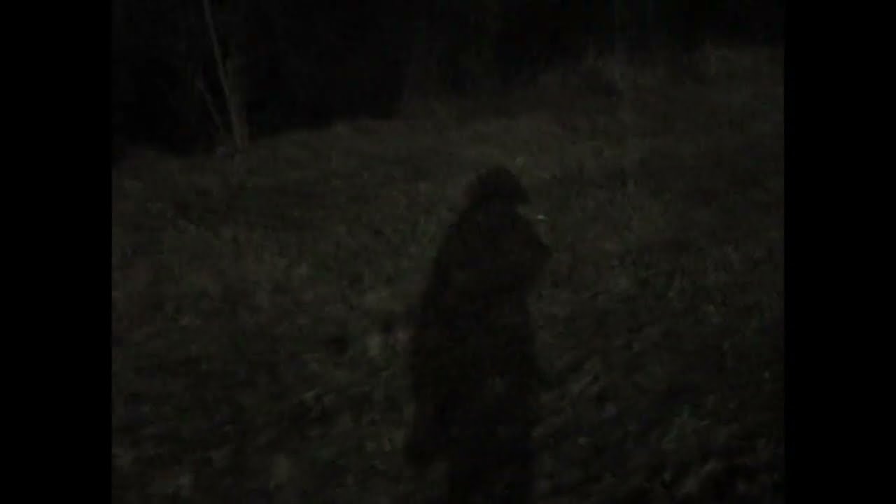 Arimasen - neverending cycle