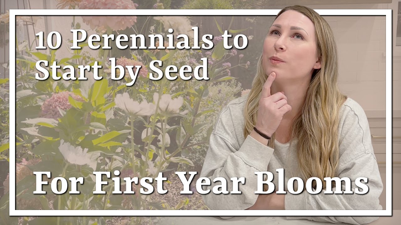 Perennial seeds to start now for FIRST year blooms 🌱