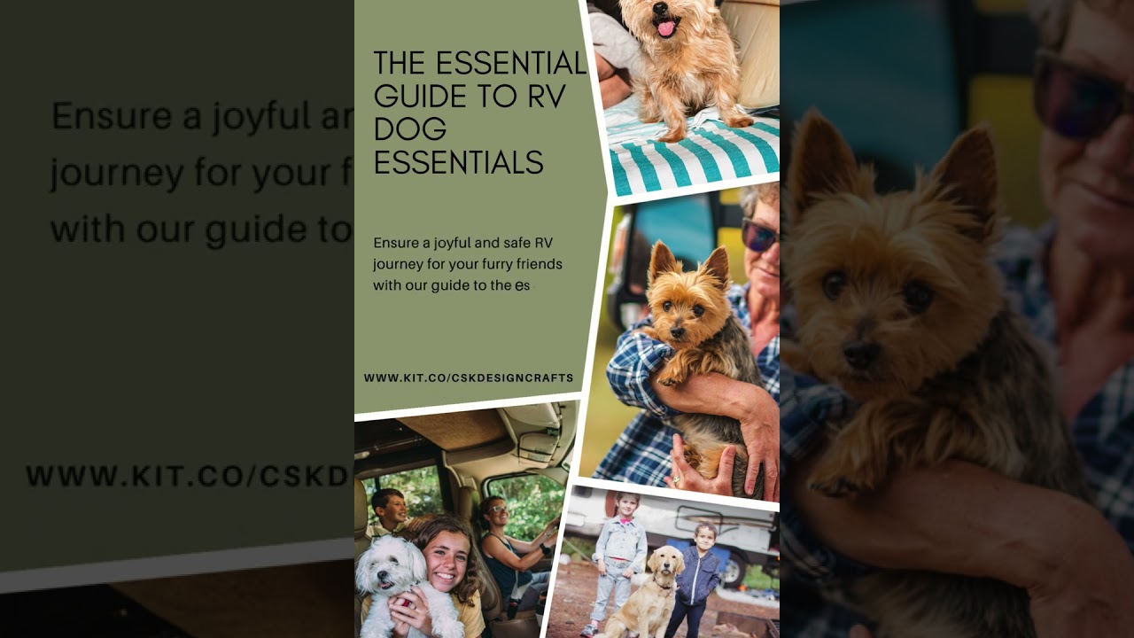 Boondocking 101: Essential Gear for RV Campers!