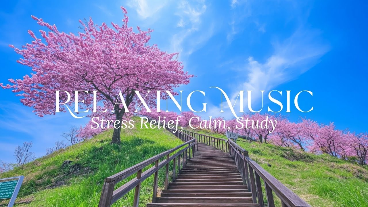 Relaxing Music for Stress Relief | Calm Study Focus with Nature & Bird Sounds