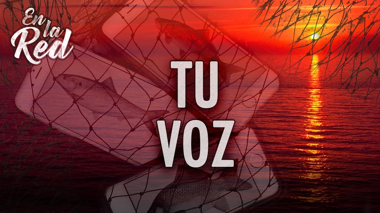 Pablo Olivares - Tu Voz (Video Lyric)