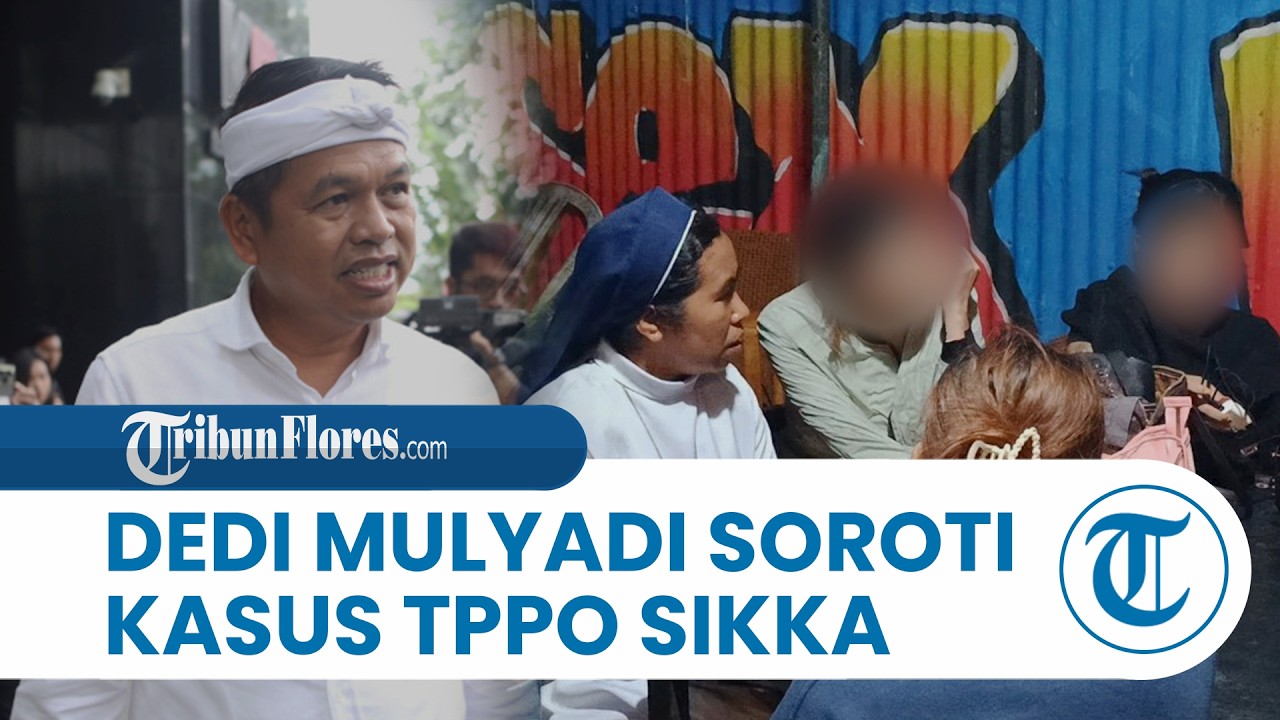 Dedi Mulyadi Tanggapi Kasus Dugaan TPPO 13 Perempuan di Sikka, Sudah Komunikasi dengan Para Korban