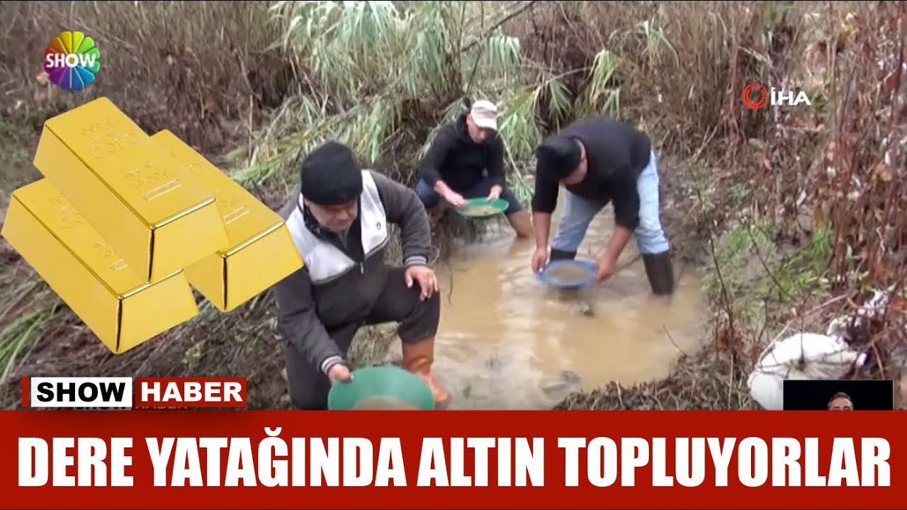 Buz gibi suda altın avı