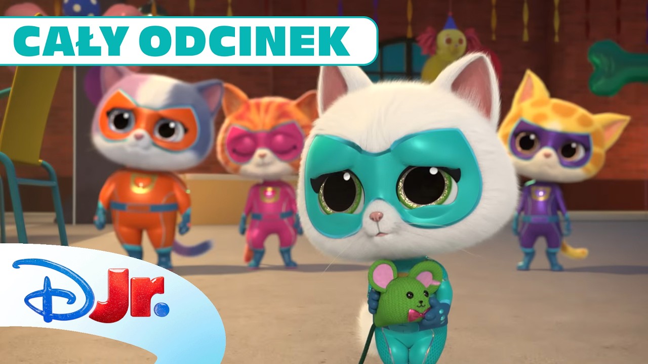 🎉 Niespodzianki | SuperKoty [CAŁY ODCINEK] | Disney Junior Polska