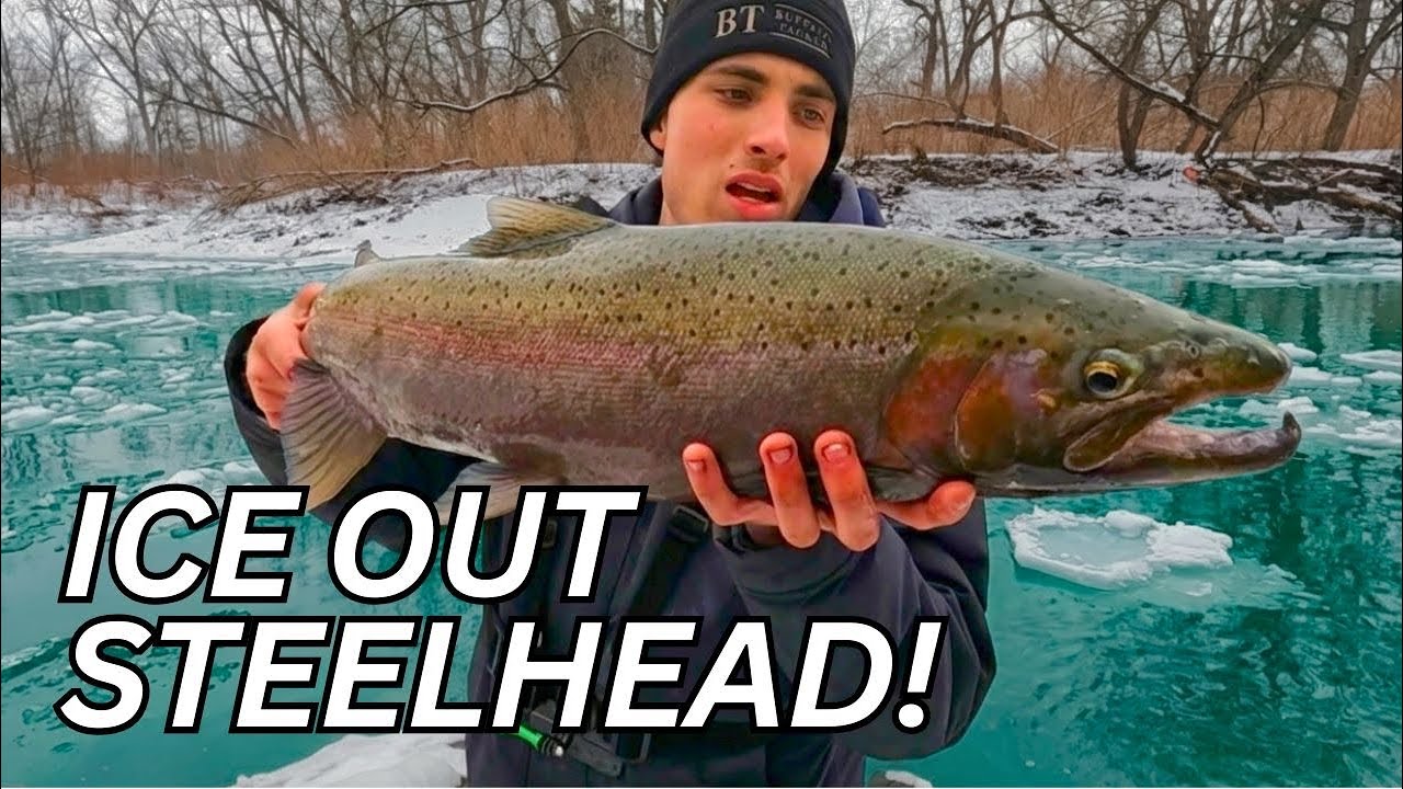 EPIC Day of Steelhead Fishing: Everything Went Right...
