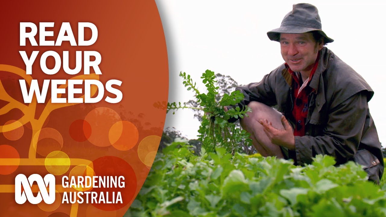 Read your weeds | Gardening 101 | Gardening Australia