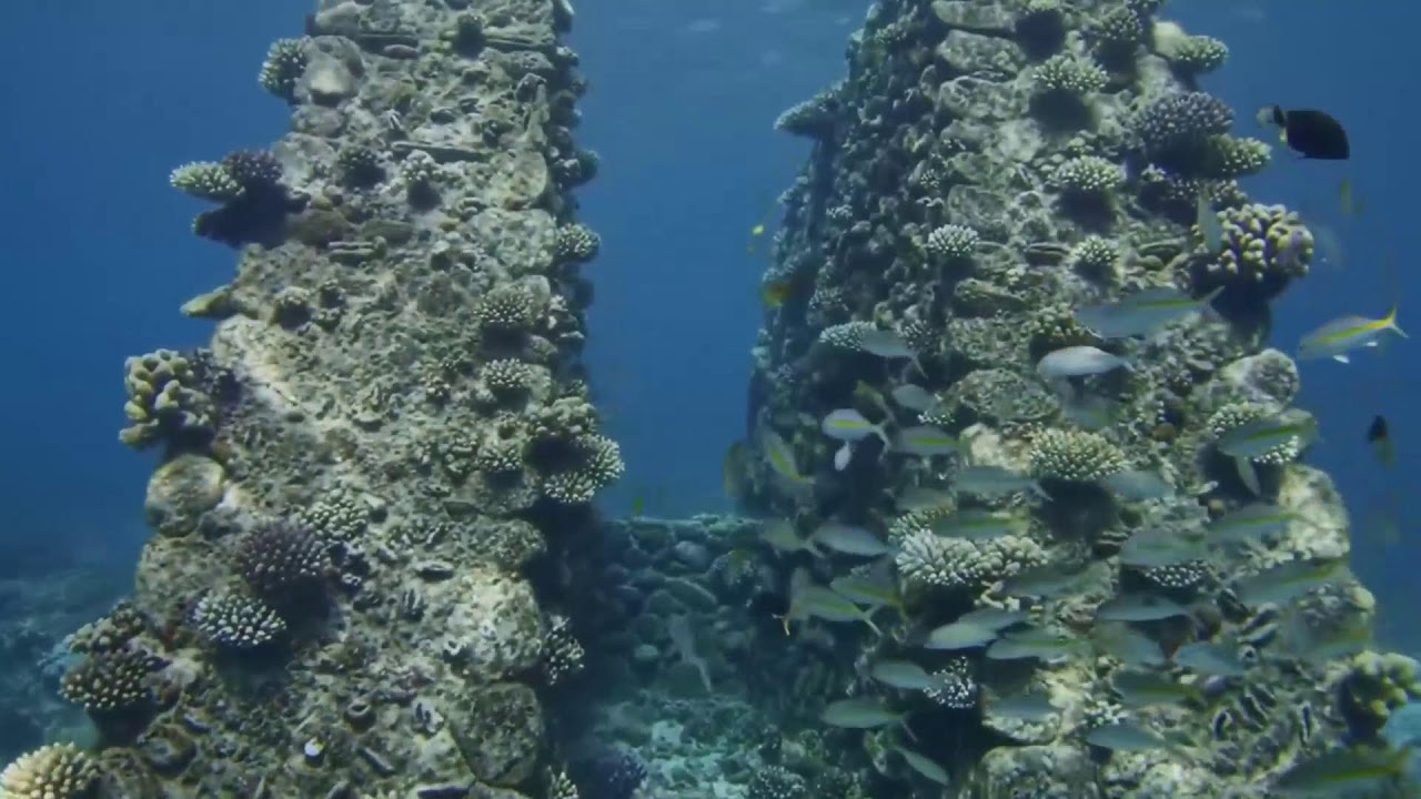 🌊 Underwater Paradise 4K – Beautiful Aquarium Fish with Relaxing Music for Sleep & Stress Relief