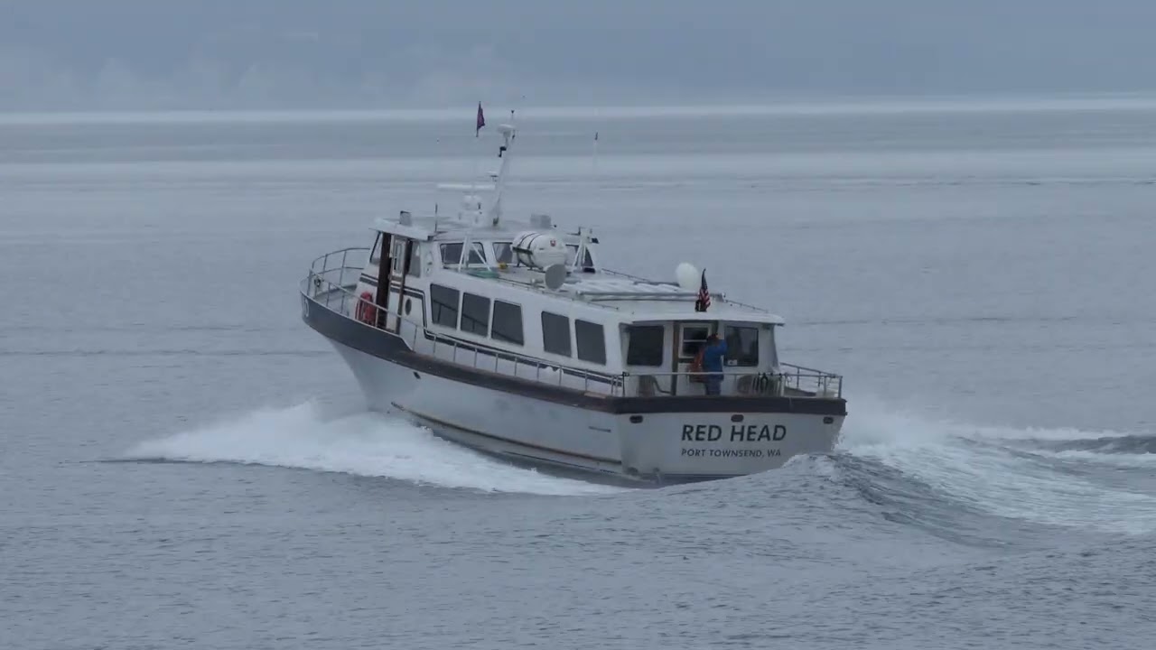 2025 Point Hudson, the tour boat 002