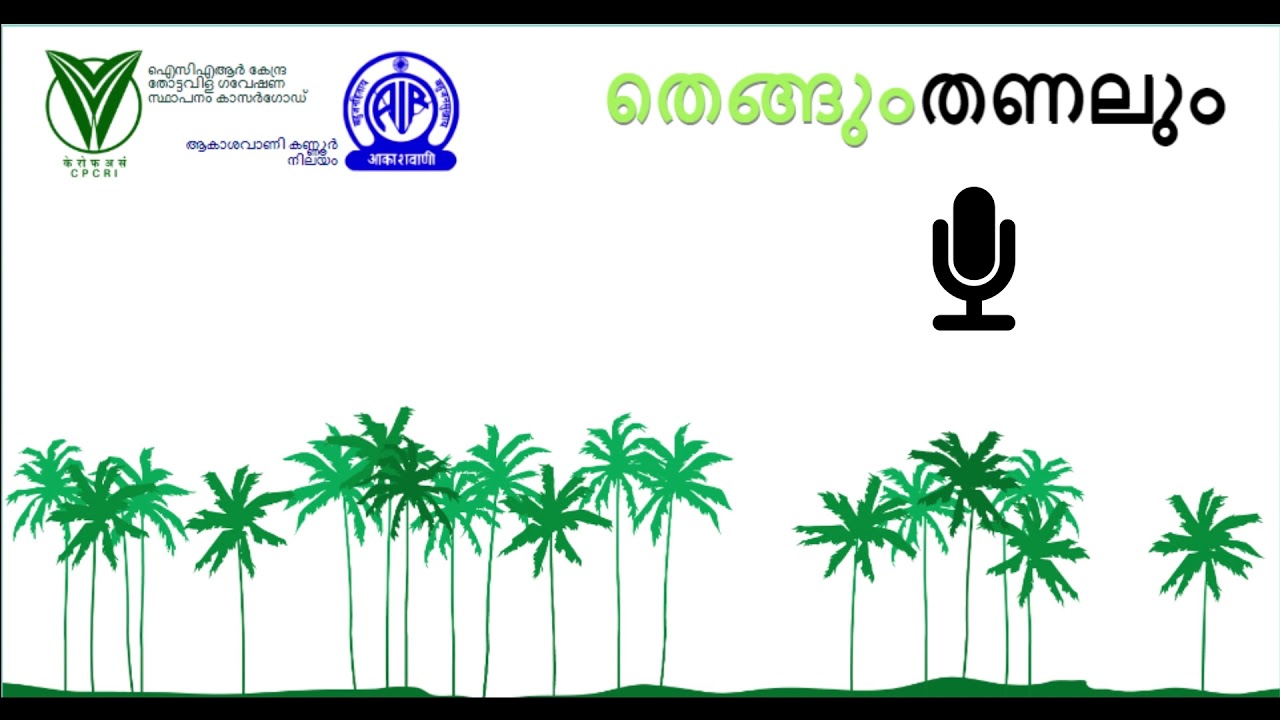 ഏതിനം തെങ്ങ് കൃഷി ചെയ്യണം?