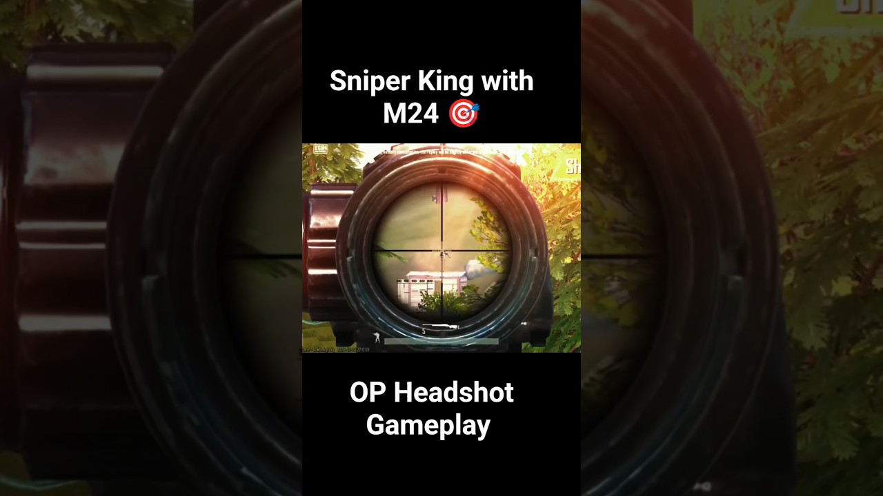 Sniper King with M24 🎯 | OP Headshot Gameplay