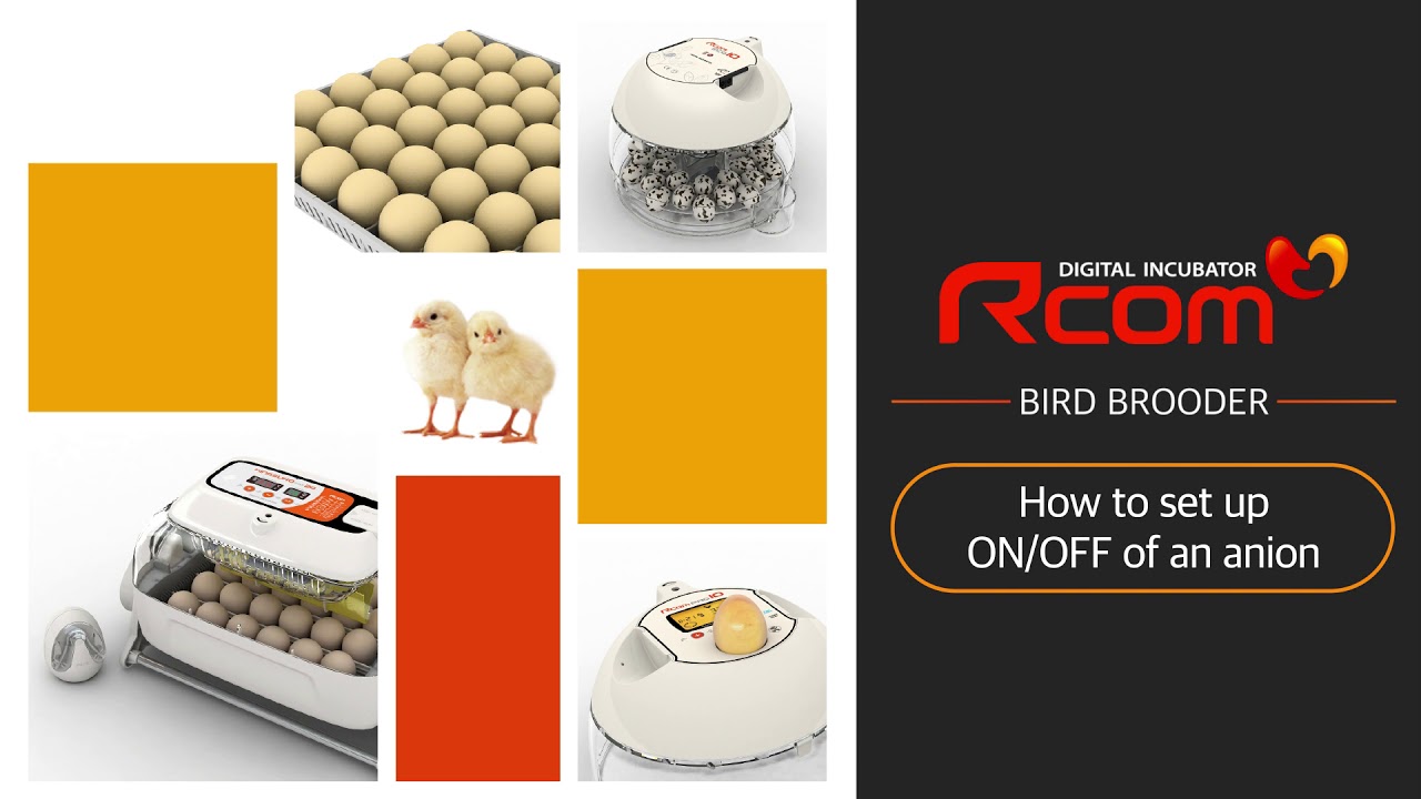 Rcom Bird Brooder 60, 90 : Video manual (Model : MX-BS500, MX-BS500(N) / MX-BL500, MX-BL500(N))