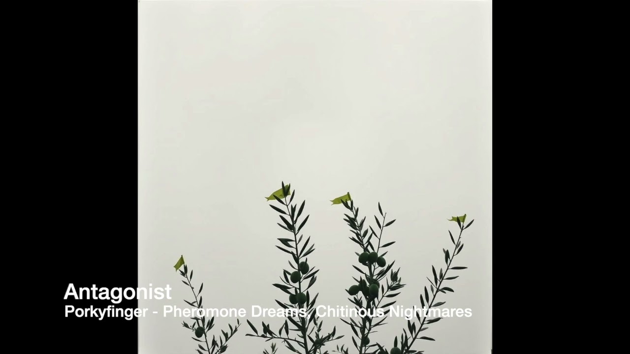 Porkyfinger - 