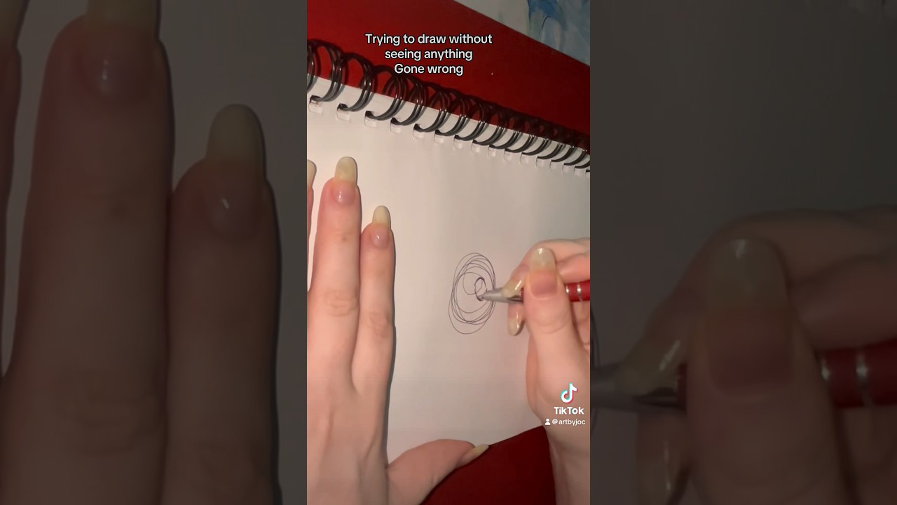 Blindfolded Drawing Challenge - Fail