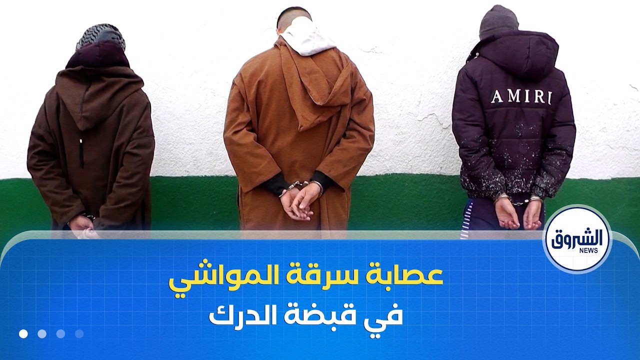 عصابة سرقة المواشي بولاية غليزان في قبضة الدرك الوطني