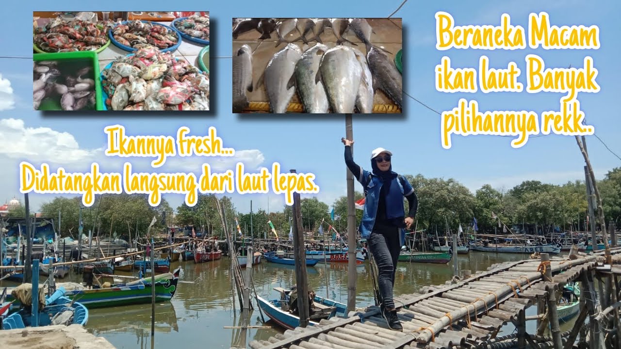 TPI Juanda (Tempat Pelelangan ikan) #jalanjalan #Bundakasih