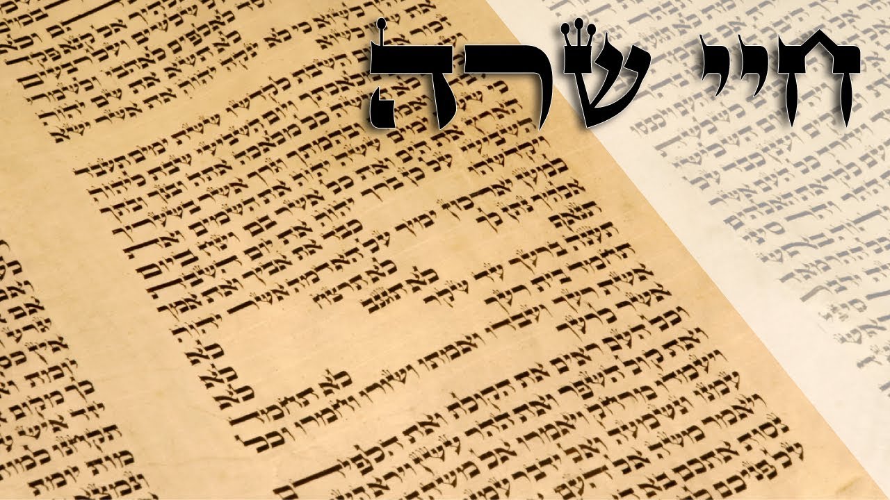 Parashat Chayei Sarah - You'll never lose from working hard - Rabbi Alon Anava