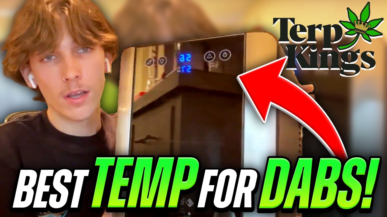 TerpKings Cooler Review | Best Temp For Dabs?!