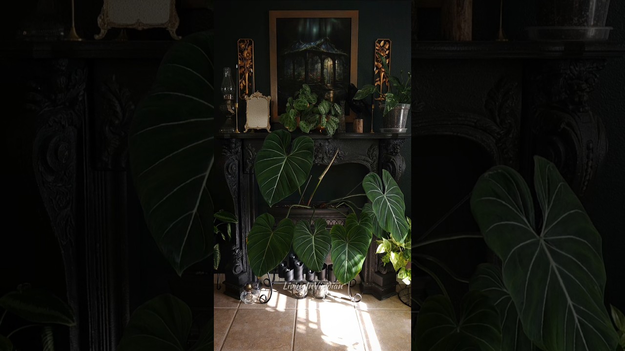 Plant room update 