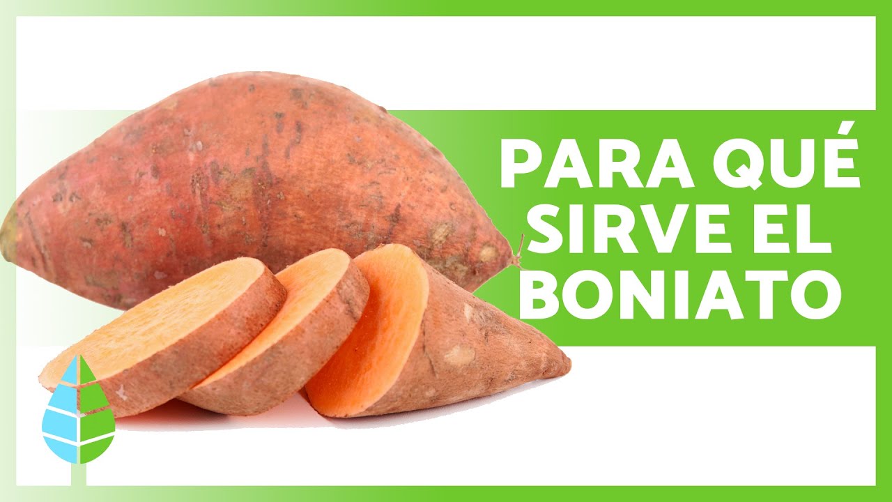 Propiedades y BENEFICIOS del BONIATO 🍠✅ Para Qué Sirve el CAMOTE, Cómo Comerlo y Contraindicaciones