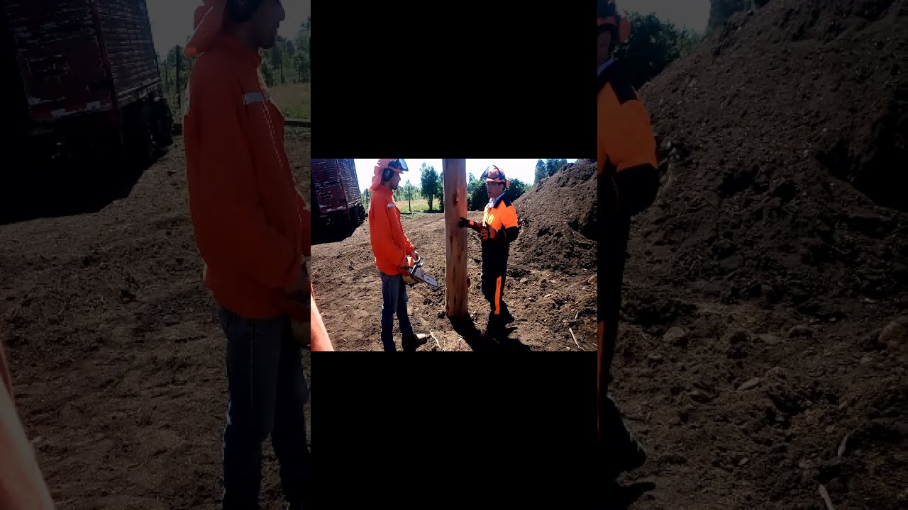 curso motosierra @Stihl