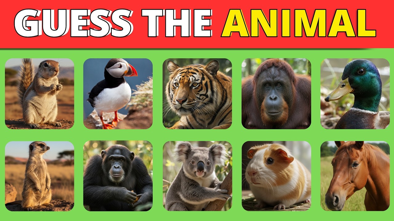 Guess the Animal Quiz | Can You Get a Perfect 60/60? | Funny Quiz