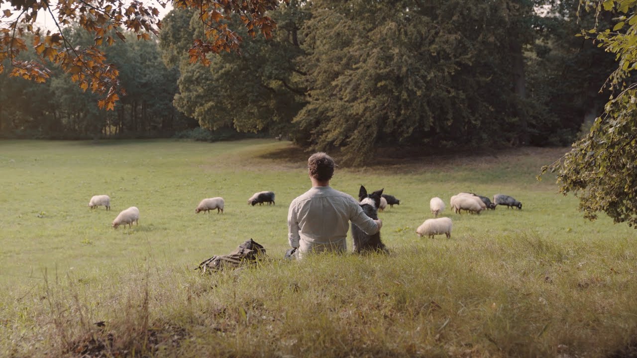 In de voetsporen van de herder