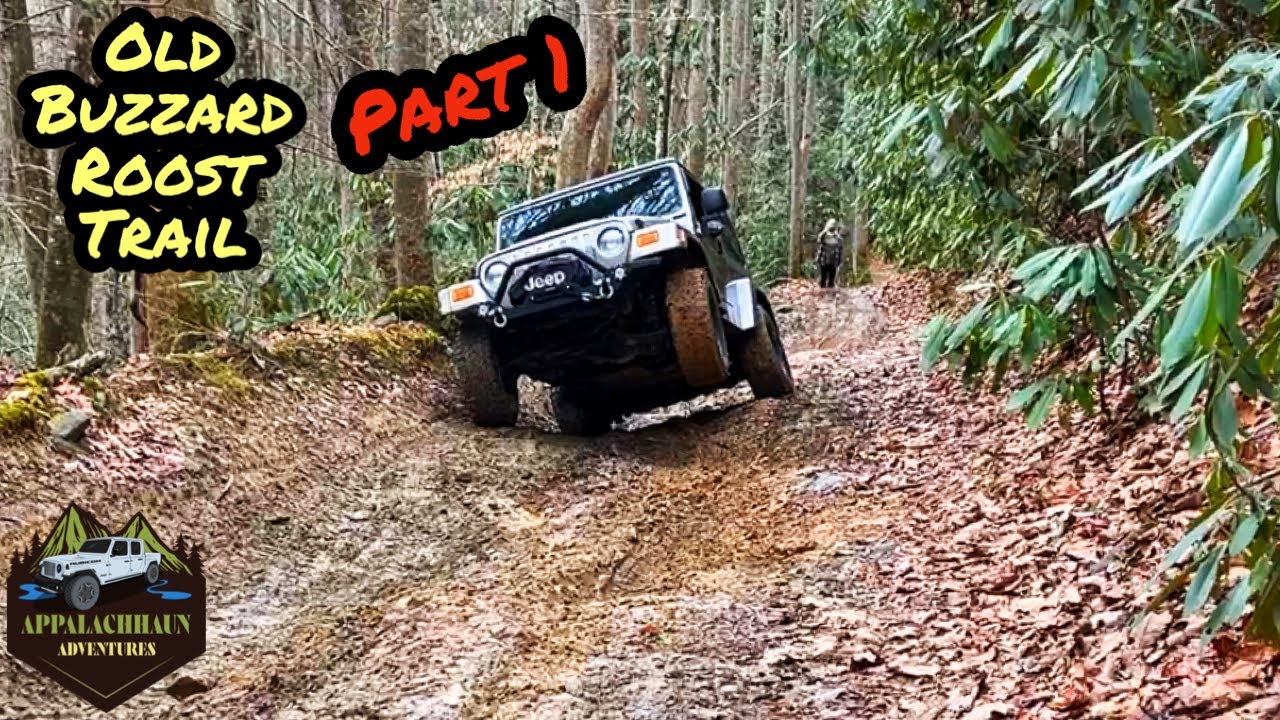 We didn’t expect this to happen! Old Buzzard Roost Rd trail in NC. Jeep Gladiator & Wrangler