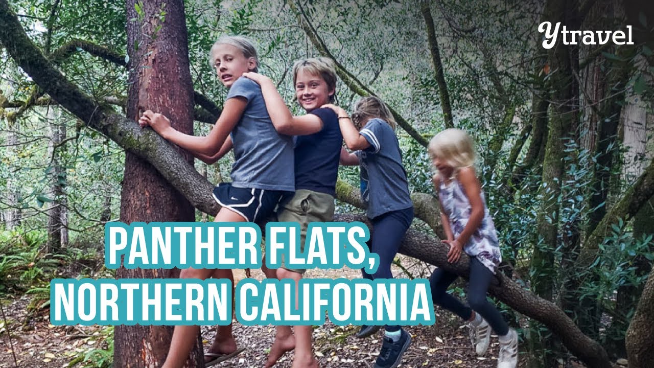 Panther Flat Campground & Jedediah State Park, Northern California (more redwoods)