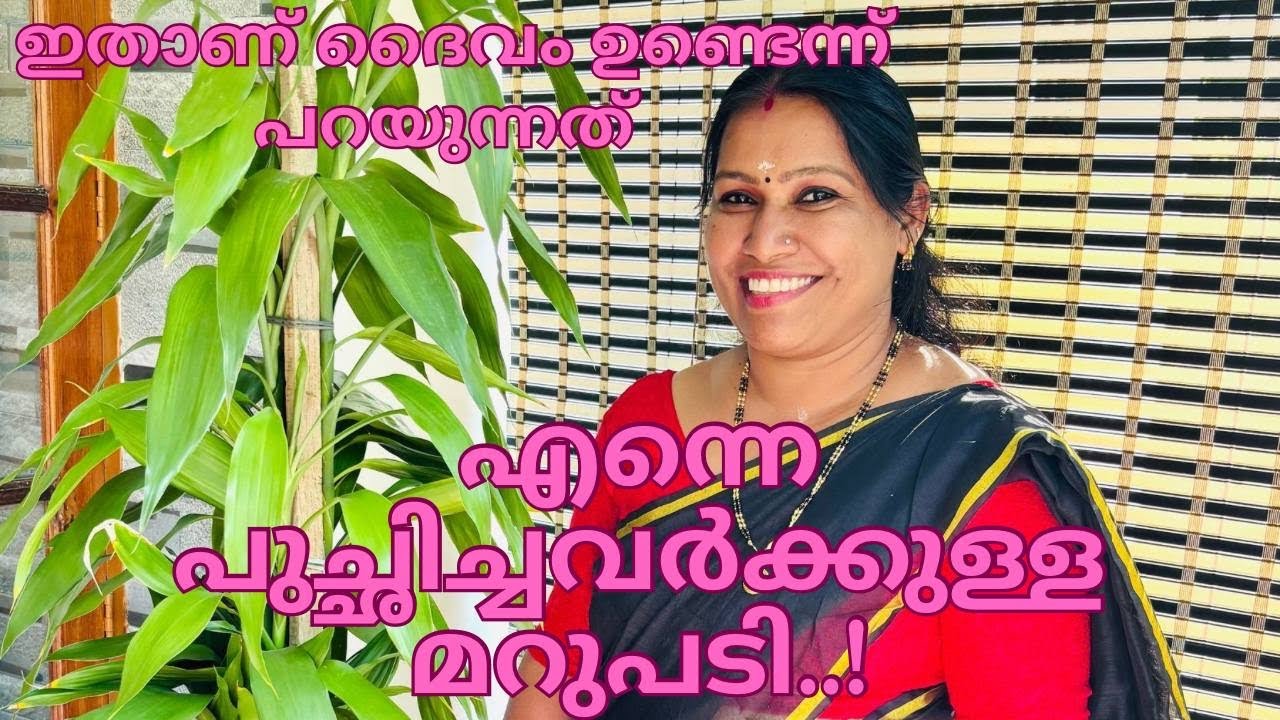 എന്നെ പുച്ഛിച്ചവർക്കുള്ള മറുപടി✨ഒന്നും അറിയാതെ മറ്റുള്ളവരെ ദ്രോഹിക്കരുത് 🙏⚠️💯