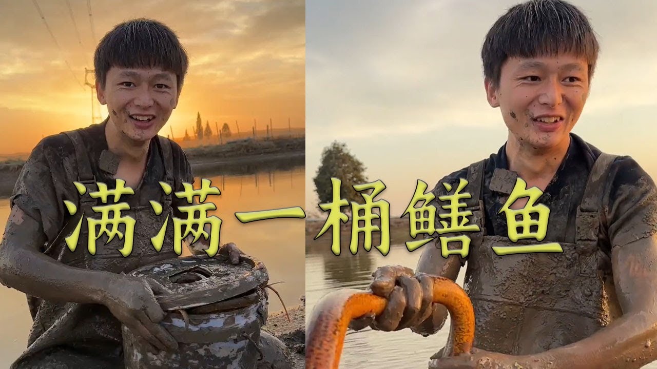 我從來沒搞過5斤重的鳝魚，全部是這麽大的吧