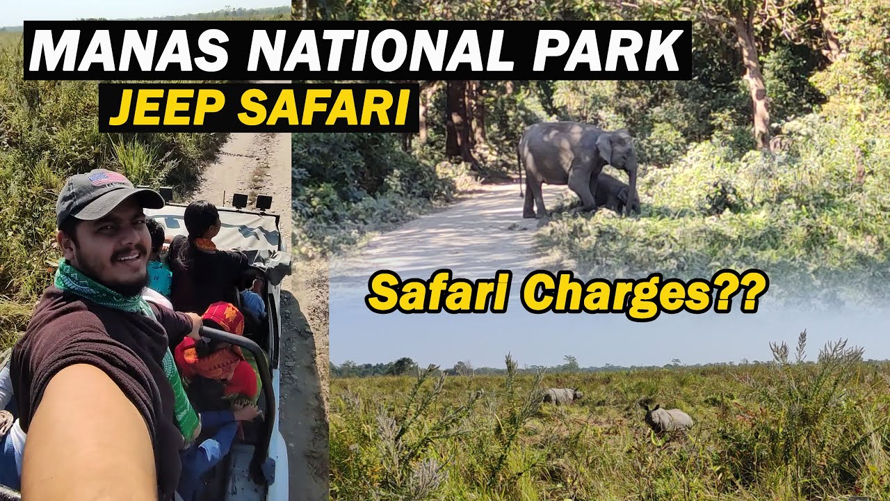 Jeep Safari in Manas National Park😍| Jeep Safari Charges?