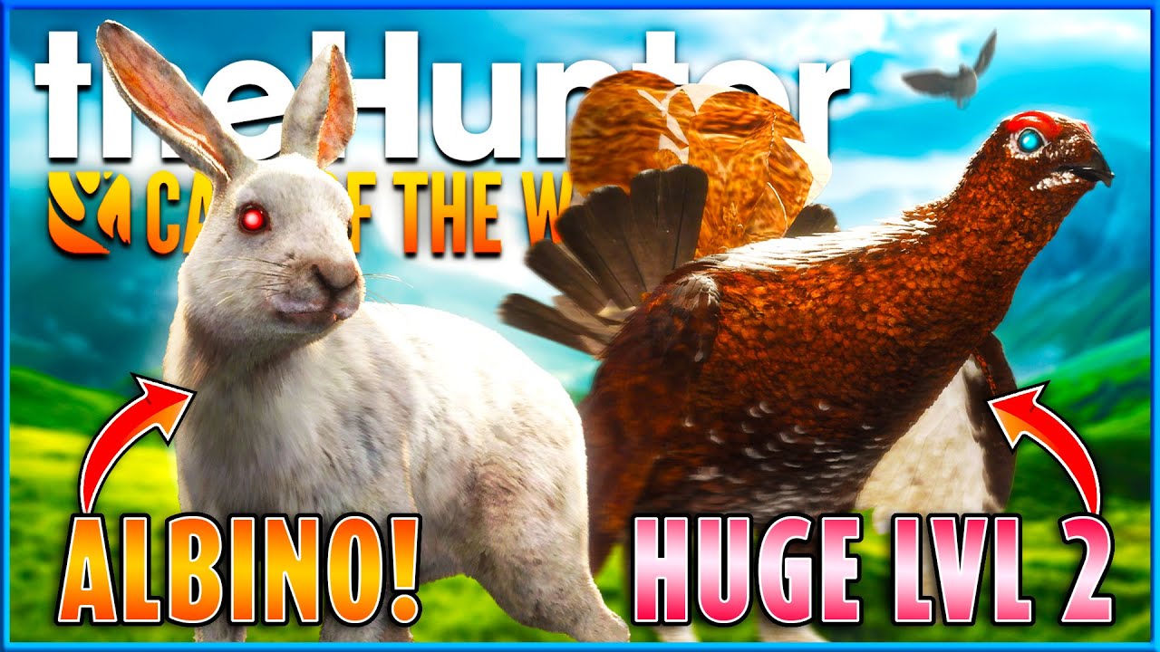 I Can't Believe This Happened! A Crazy Hunt on Scotland - theHunter Call of the Wild