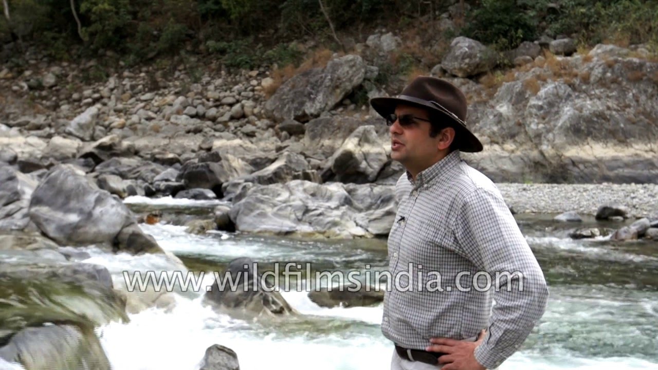 Rupin Dang speaks about mahseer fishing in the Ramganga