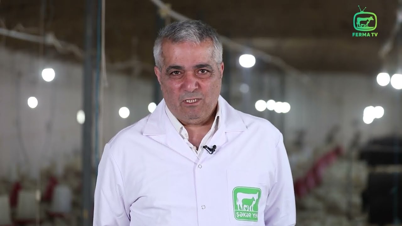 Cuce besleme qaydalari