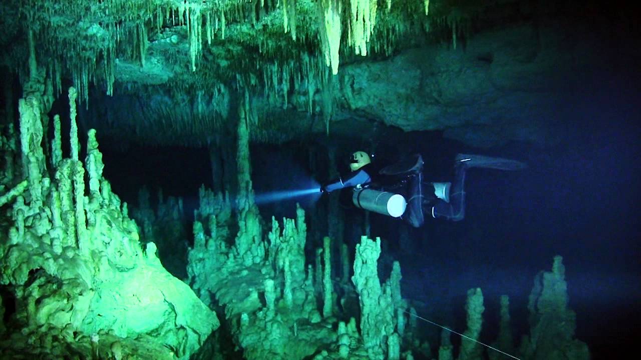 Diving with Will Smith