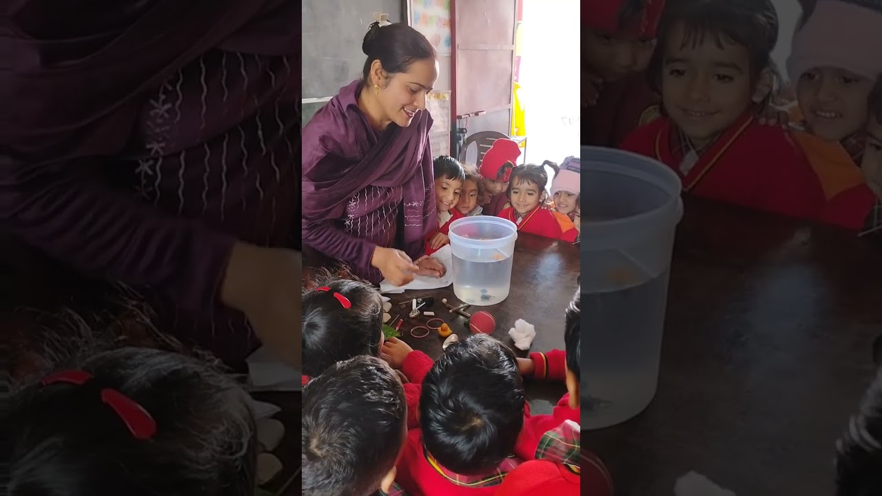 DECE -4 PROJECT VEDIO पंद्रहवा दिन (क )ACTIVITY -19