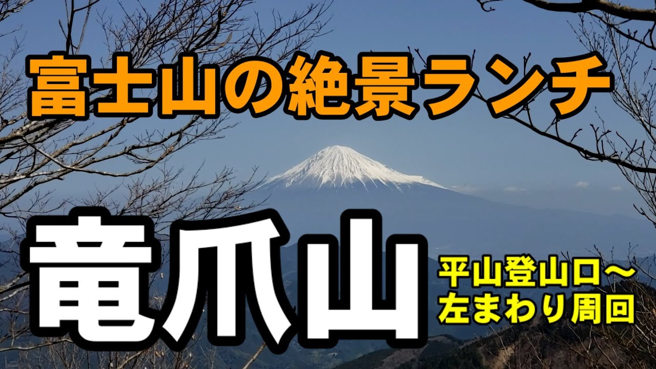 【静岡県】竜爪山　平山旧登山道～直登ルート周回(左まわり)ミツマタの群生