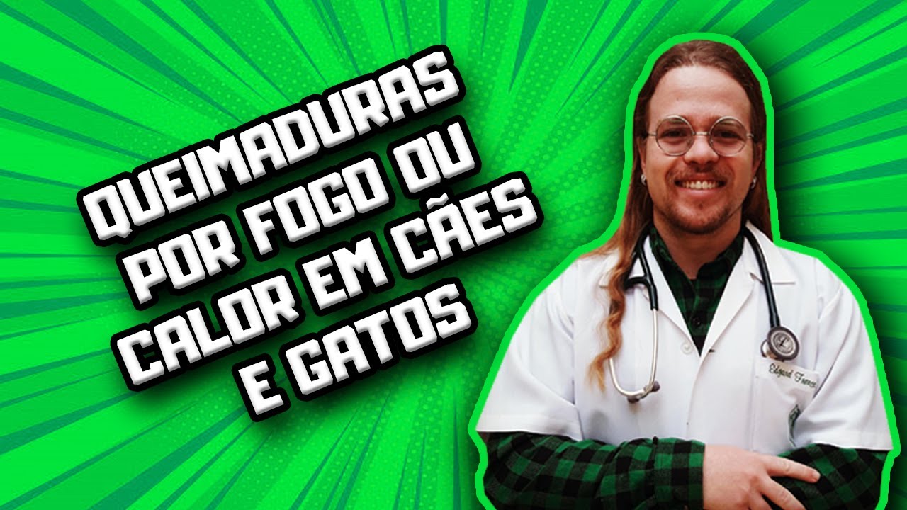 Queimaduras de Cães e Gatos: faça os Primeiros Socorros!! | Dr Edgard Gomes