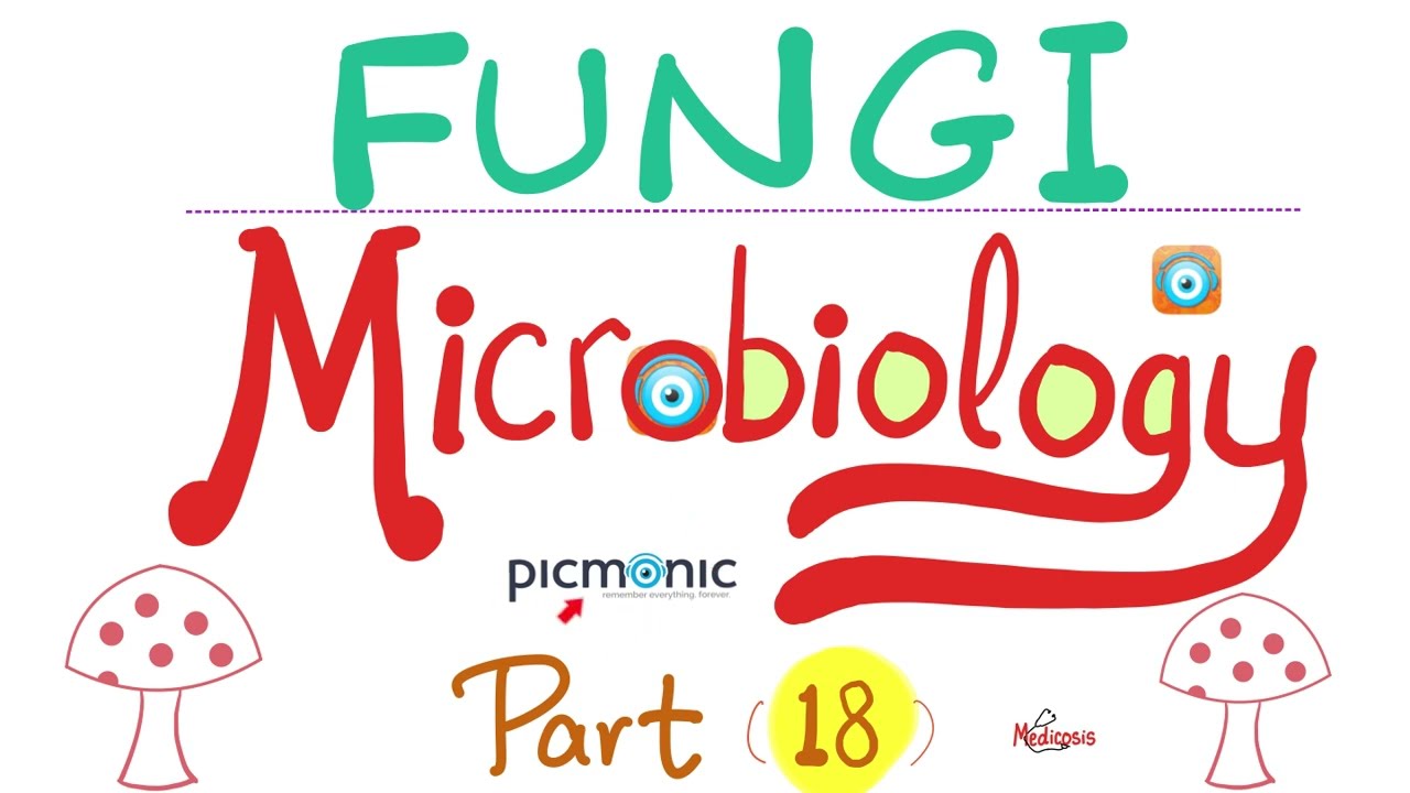 Fungi - Mycology - Mucor & Rhizopus - Pneumocystis, Sporothrix - Picmonic Microbiology  (Part 18)