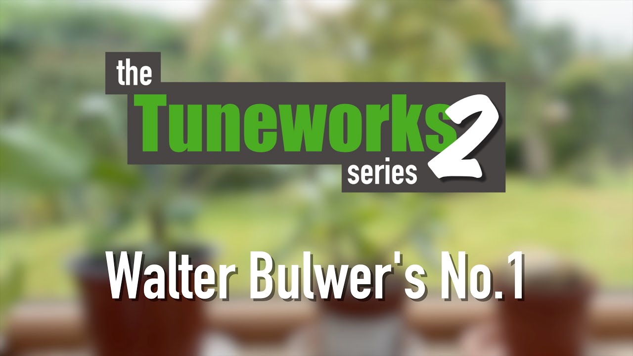 TTS2 Ep.1 - Walter Bulwer's No.1