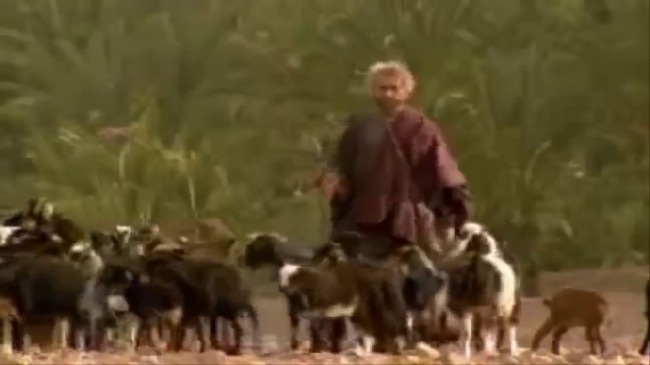 Documentales Biblicos: 