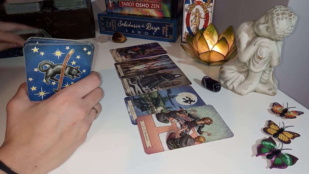 🦋¿Viene alguien nuevo?¿O es del pasado? 🦋Tarot interactivo