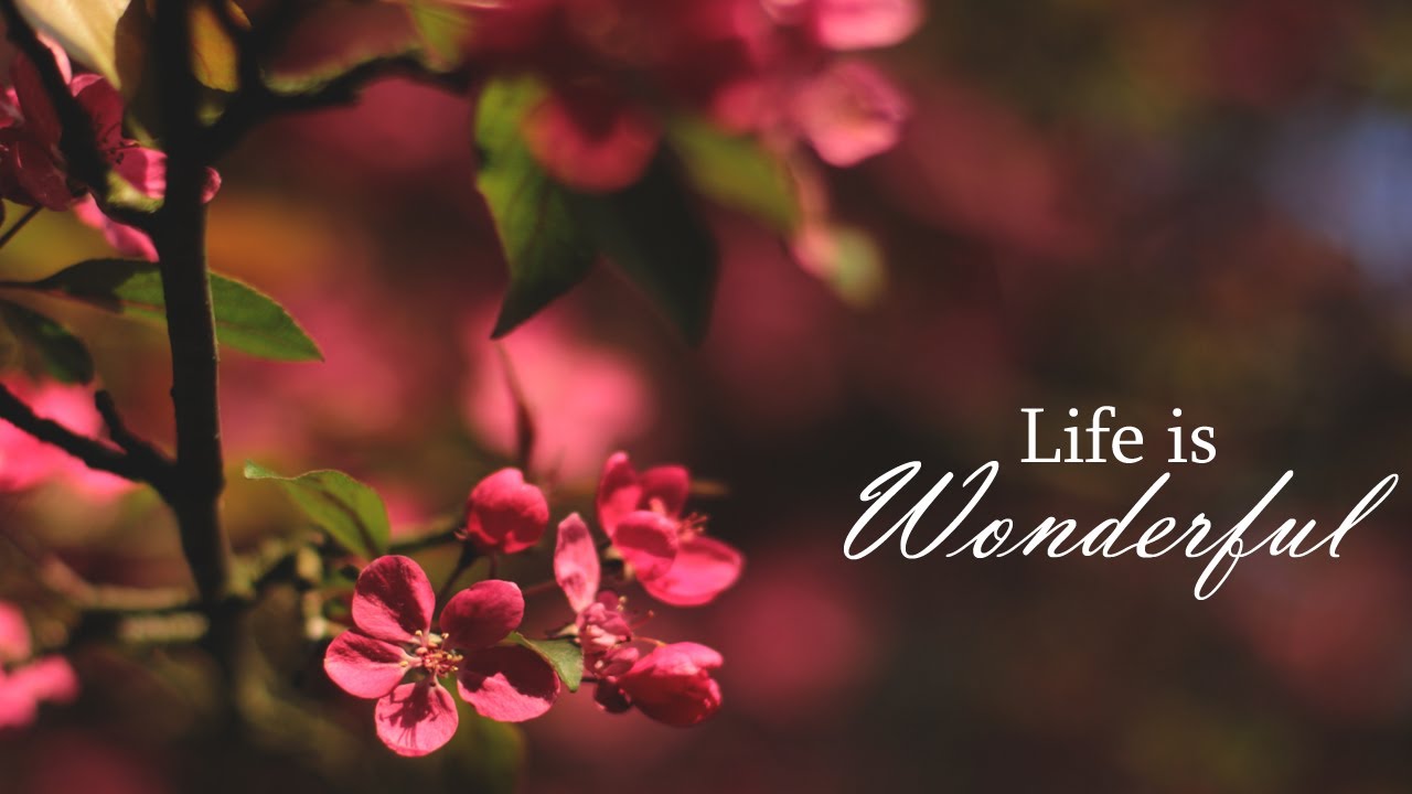 Life is Wonderful - by Emmanuelle Rey