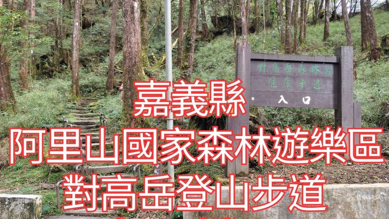 [4K], 臺灣, 嘉義縣, 阿里山鄉, 阿里山國家森林遊樂區，對高岳登山步道