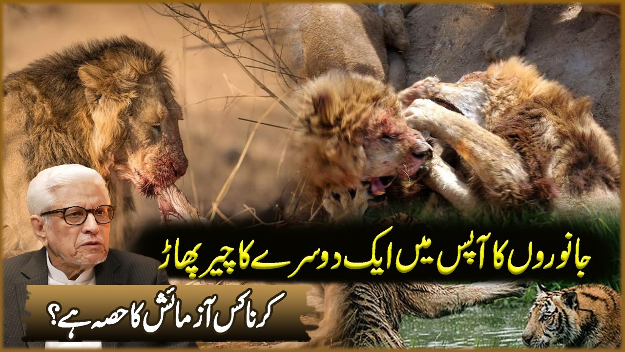 Janwaron Ka Apas Ma Ak Dosra Ka Cher Phar Karna | Javed Ahmad Ghamdi | Deen O Dunya