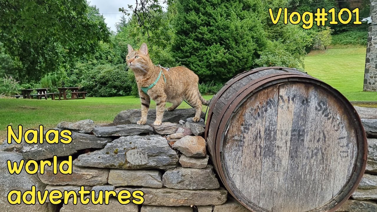 Nala goes on a whisky tour (kind of) Vlog #101