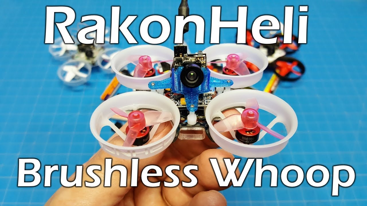 Rakonheli 1S Delrin Carbon 66mm Brushless Whoop