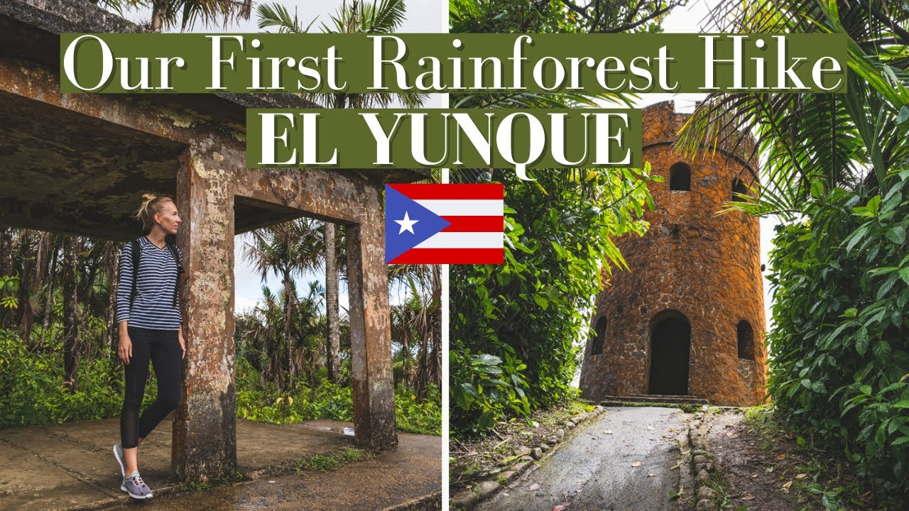 Mt. Britton Tower - Hiking in Puerto Rico's El Yunque Tropical Rainforest  🇵🇷