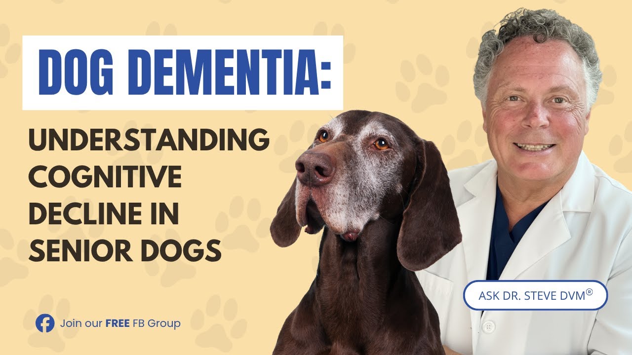 Dog Dementia Explained: Natural Ways to Help Without Drugs
