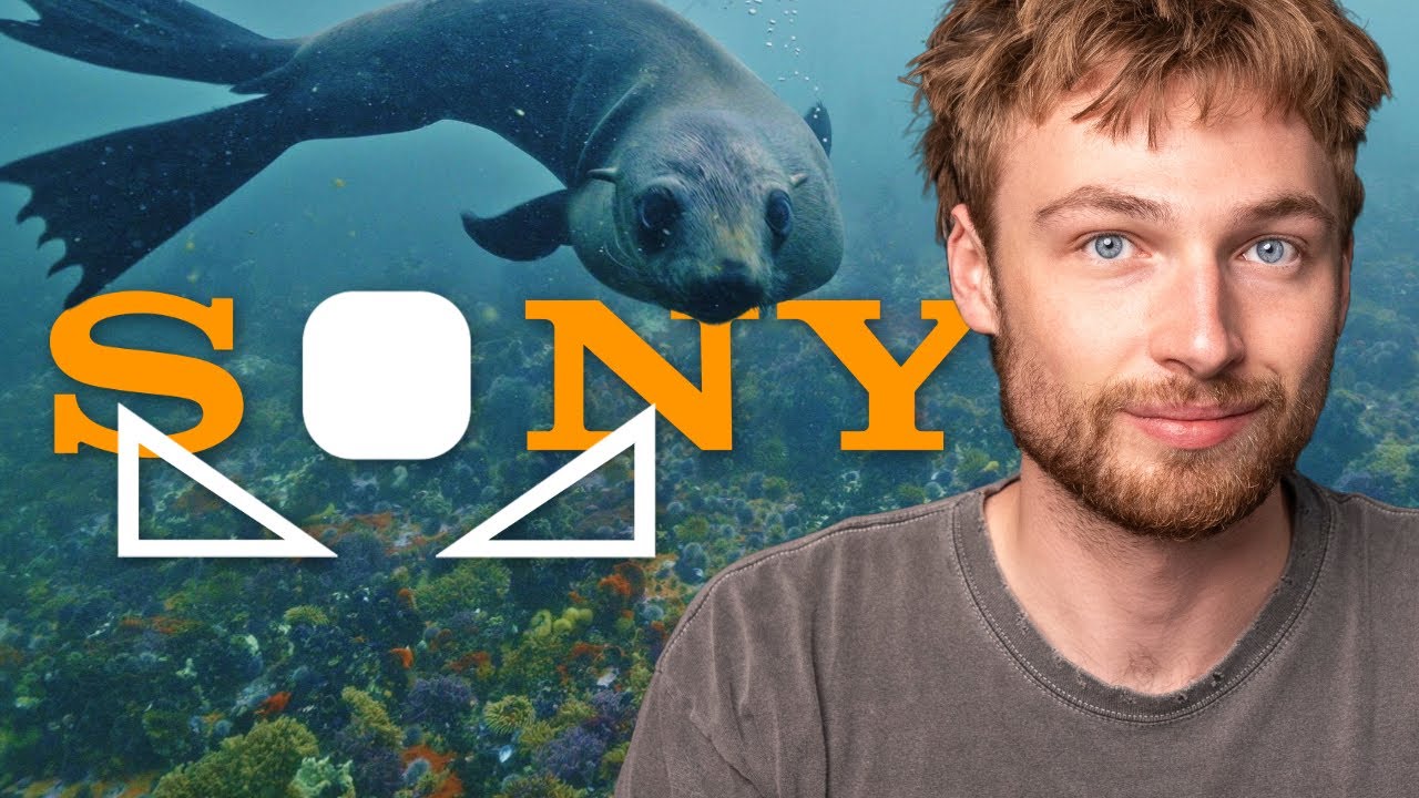 Sony Custom White Balance Shortcut for Use in Underwater Housings